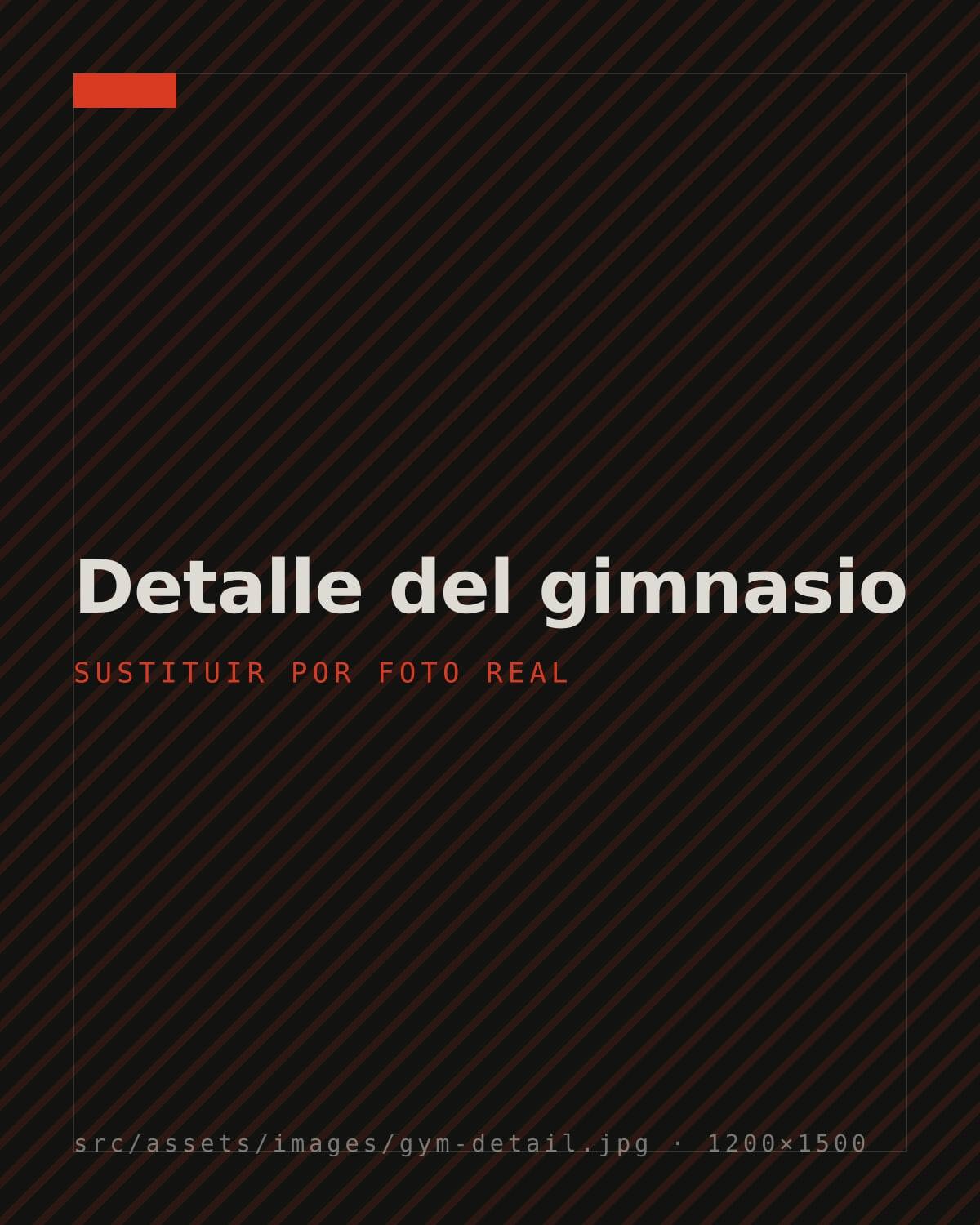 Detalle del material de entrenamiento del gimnasio